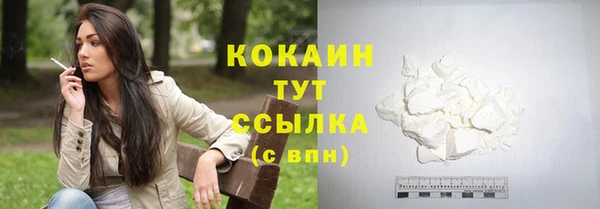 соль ск Алексин