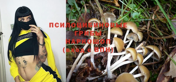 соль ск Алексин