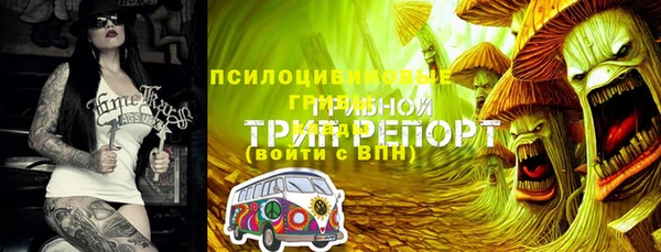 соль ск Алексин