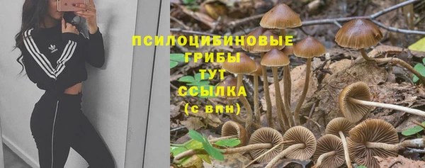 хмурый Алексеевка
