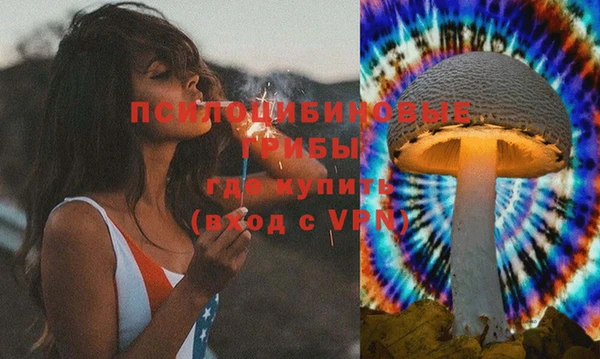 соль ск Алексин