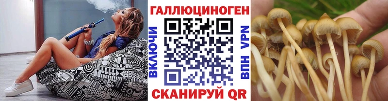 Галлюциногенные грибы Cubensis  купить закладку  Нюрба 